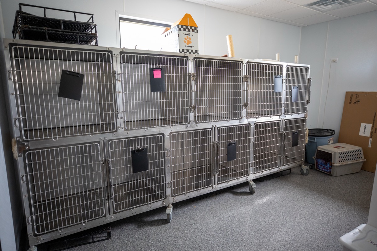 Kennels at Plymouth Veterinary Clinic