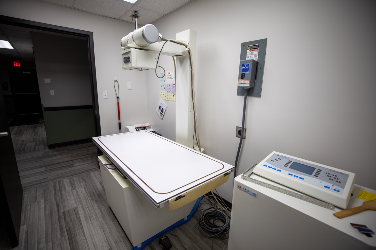 Radiology at Plymouth Veterinary Clinic