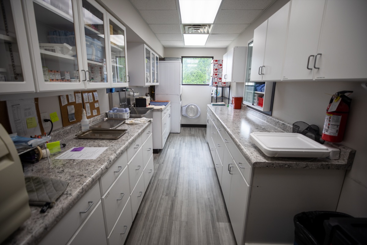 Surgery Prep at Plymouth Veterinary Clinic
