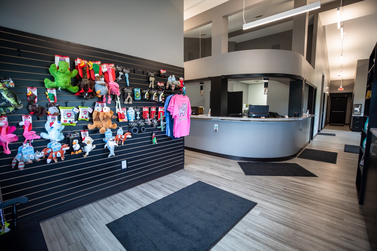 Toy Wall at Plymouth Veterinary Clinic
