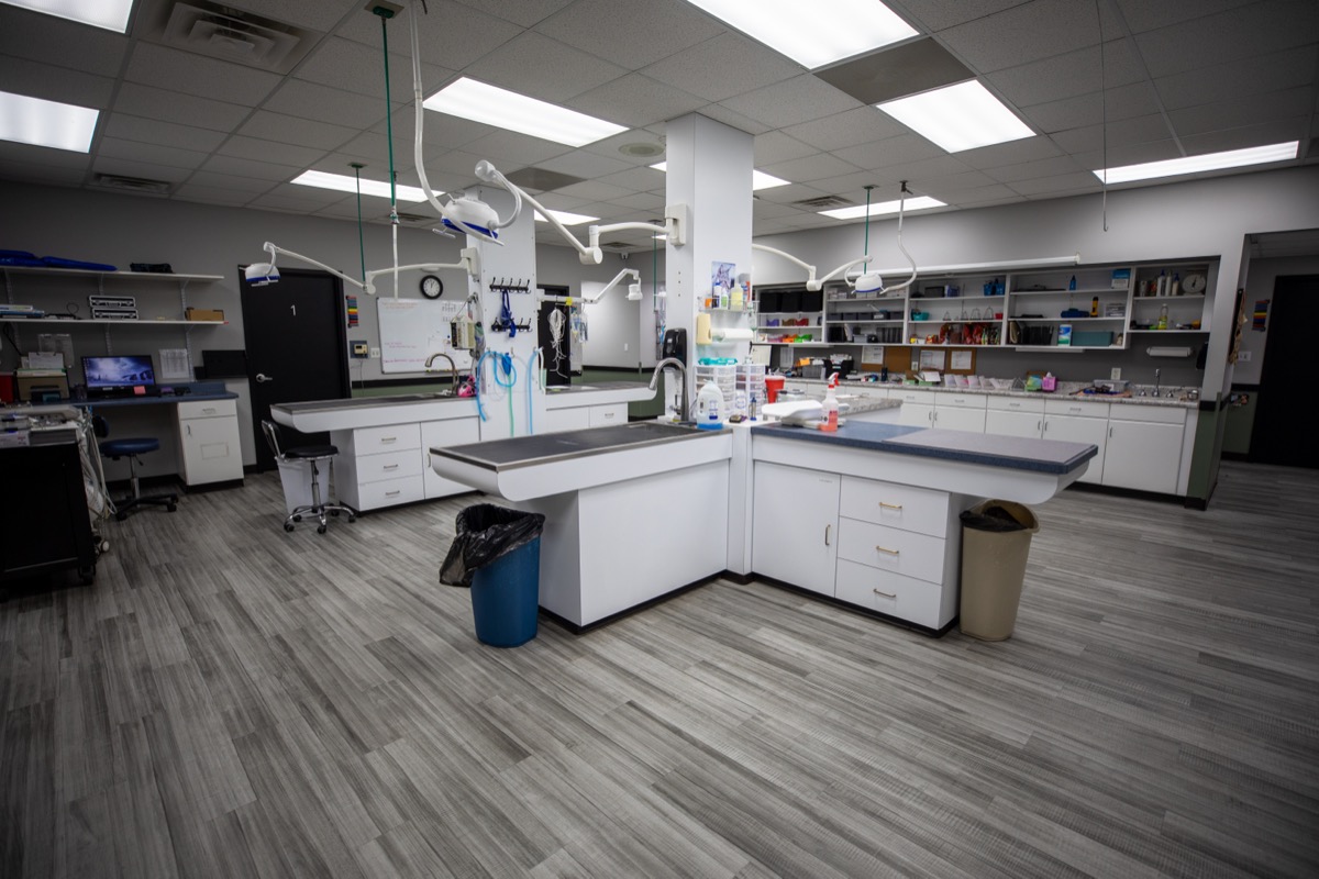 Treatment at Plymouth Veterinary Clinic