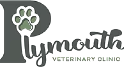 Plymouth Veterinary Clinic